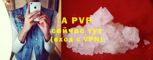 эйфоретик Бородино