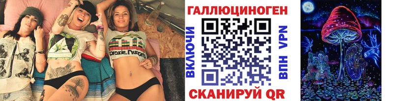 Галлюциногенные грибы Psilocybe  Новомичуринск 