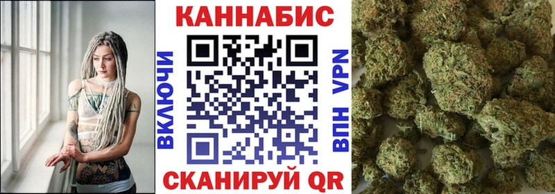 где найти наркотики  Новомичуринск  Конопля SATIVA & INDICA 